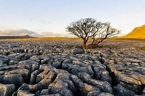 Ngắm nhìn những cánh đồng đá vôi tự nhiên ở Anh