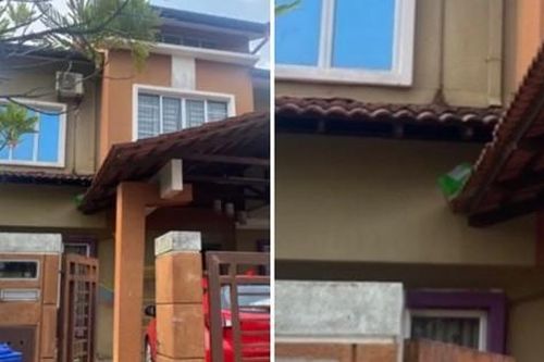 Dặn shipper đặt bưu phẩm ở 'chỗ cao để tránh con mèo', kết quả không thể ngờ