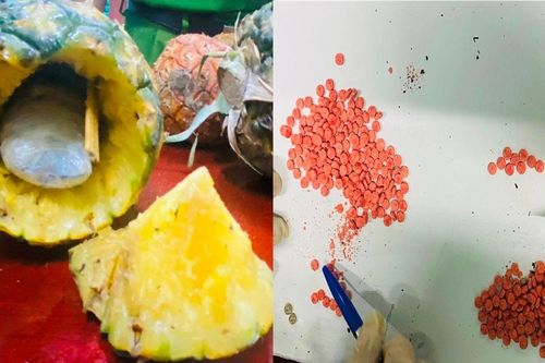 Lật tẩy bí mật giấu trong quả dứa gai của gã đàn ông người nước ngoài
