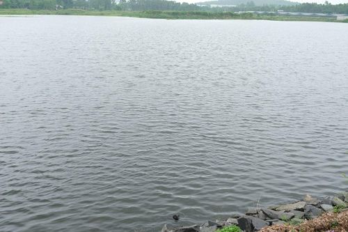 Bài 3: Chủ đầu tư 'mở rộng' dự án thêm gần 4ha không xin phép