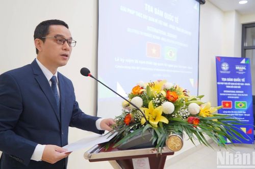 Tọa đàm quốc tế 'Giải pháp thúc đẩy quan hệ Việt Nam-Brazil trong bối cảnh mới'