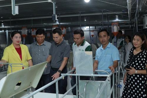 Doanh nghiệp xúc tiến tìm việc làm cho sinh viên 'ngành khó'