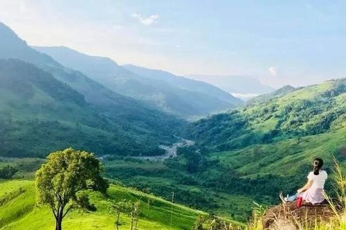 Khánh Hòa: Ngắm vẻ đẹp rộng lớn của thảo nguyên Tà Giang