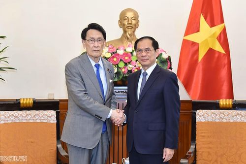 Đề nghị Nhật Bản hỗ trợ Việt Nam trong các lĩnh vực mới chuyển đổi xanh, bán dẫn