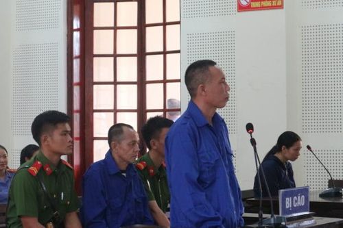 Cặp đôi 'ngưu tầm ngưu, mã tầm mã' lại vào tù