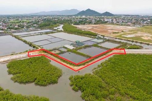 Lý do dự án xử lý cấp bách hơn 180 tỷ làm kiểu 'rùa bò'