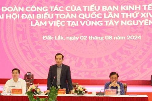 Phó Thủ tướng Trần Lưu Quang: Tây Nguyên cần có cơ chế đặc thù