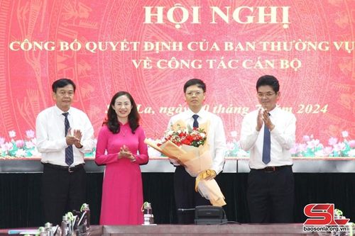 Điều động, bổ nhiệm cán bộ chủ chốt nhiều tỉnh, thành