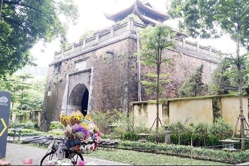 Nhịp phố bốn mùa hoa