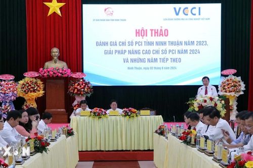 Ninh Thuận: 'Không có điểm kết thúc' của quá trình nâng cao thứ hạng PCI