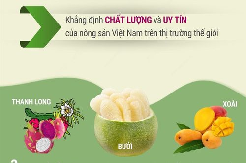 Hàn Quốc chính thức cấp phép nhập khẩu quả bưởi của Việt Nam