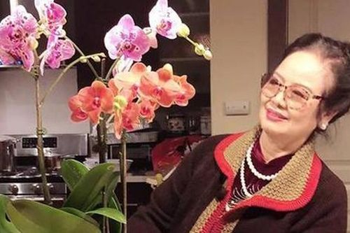 Nghệ sĩ chèo Lưu Nga: Tuổi xế chiều sống ở xứ người, hạnh phúc bên con cháu