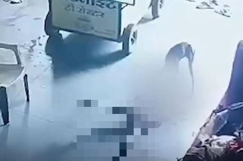 Chó hoang liều lĩnh vào tận nhà tấn công rồi kéo bé trai ra khỏi ghế