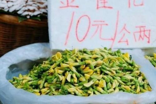 Rau dại ăn ngon như thịt, bán hơn 300.000đ/kg vẫn được săn lùng ráo riết