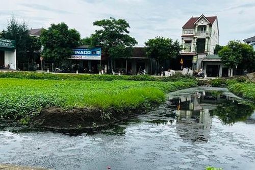 Nước thải sinh hoạt ùn ứ, người dân mệt mỏi khi sống chung với ô nhiễm