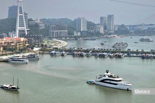 Quảng Ninh: Xây dựng kế hoạch phát triển đội tàu nhà hàng trên các vịnh
