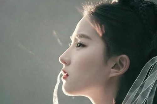 Kiếm hiệp Kim Dung: Nhan sắc thật sự của Tiểu Long Nữ