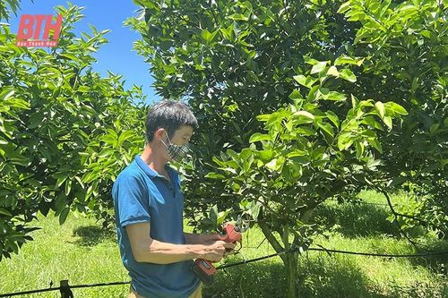 Xây dựng và phát triển thương hiệu nông sản địa phương