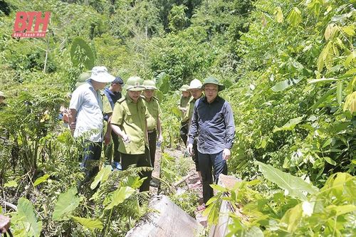'Lực lượng tiên phong' của Đảng trong quản lý, bảo vệ và phát triển rừng (Bài cuối): Những chuyển biến rõ nét