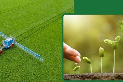 Ngành phân bón hướng tới nông nghiệp xanh, phấn đấu tỷ trọng phân bón hữu cơ chiếm 50%