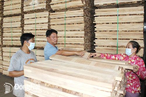 Ưu tiên đầu tư cho vùng đồng bào dân tộc thiểu số