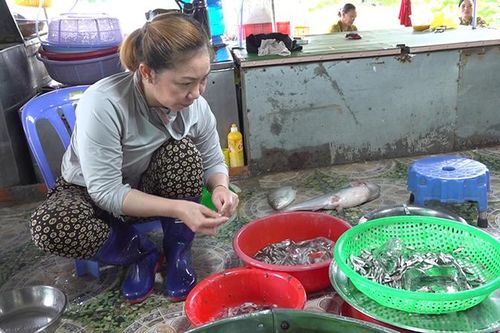 Cá linh non khan hiếm