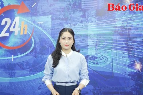 Gia Lai 24h: Cần xử lý dứt điểm trường hợp dựng nhà, đặt trạm cân trái phép trên đất nông nghiệp