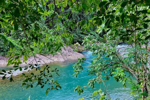Hoạt động trekking Tà Giang: Cần quản lý và khai thác bài bản