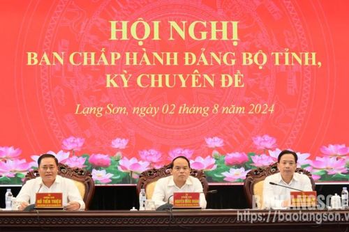 Hội nghị Ban Chấp hành Đảng bộ tỉnh kỳ chuyên đề