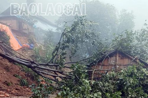 Mưa lũ làm 7 nhà dân ảnh hưởng, 4 tuyến quốc lộ bị sạt lở gây ách tắc giao thông