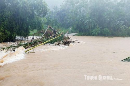 Ứng phó, khắc phục hậu quả do mưa lớn