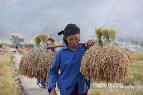 Giữ gìn làng cổ Đống Đa