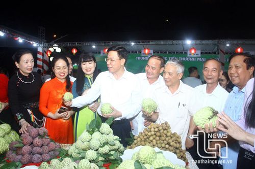 Xúc tiến, kết nối tiêu thụ sản phẩm na Võ Nhai