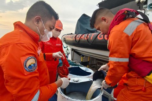 Sự cố tràn dầu khiến cuộc sống người dân Philippines gặp nhiều khó khăn