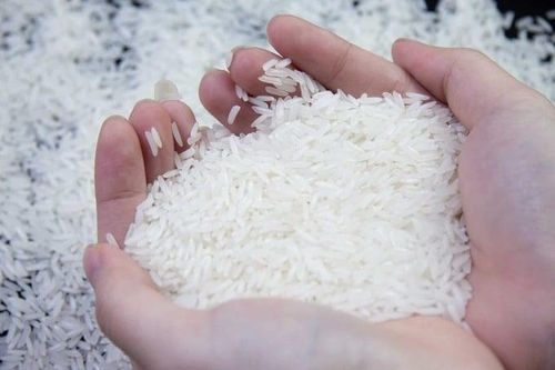 Việt Nam, Thái Lan đua giành thị phần gạo tại Philippines
