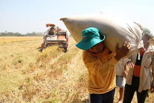 Nông nghiệp xanh: Đẹp trên giấy, khó trong thực tế