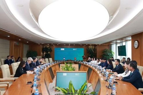 Việt Nam có thêm 50 triệu EUR hạn mức tín dụng xanh từ AFD