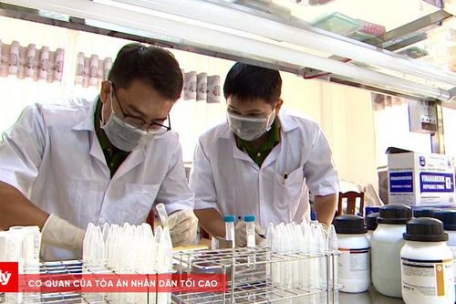 Những người ngày đêm 'đi tìm dấu vết'