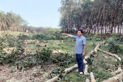 Gia đình người Nùng hiến 1,7ha đất làm đường giao thông