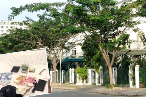 Nhập cảnh trái phép vào TP Hồ Chí Minh rồi thực hiện vụ trộm tiền tỷ