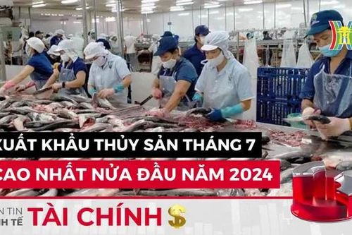 Bản tin Kinh tế Tài chính | 02/08/2024