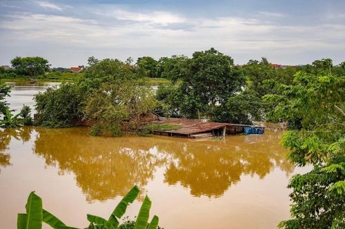 Sóc Sơn: Vùng ven sông Cầu ngập sâu do mưa lớn và xả lũ