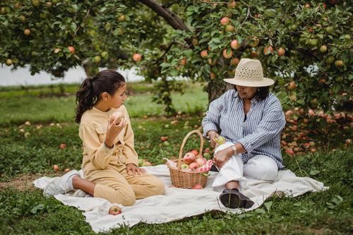 4 loại thực phẩm con người tiêu thụ mỗi ngày
