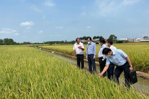 Sản xuất nông nghiệp hữu cơ, hướng đi bền vững