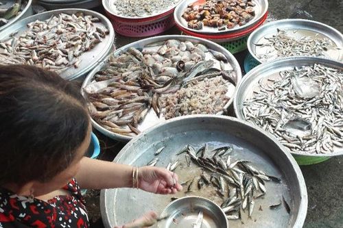 Cá linh non, đặc sản mùa nước nổi miền Tây bị 'làm giả' nguồn gốc