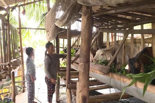 Cà Mau nỗ lực giảm nghèo bền vững
