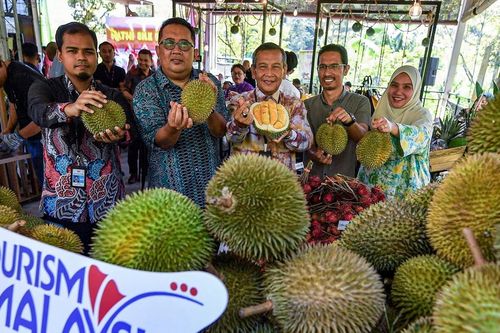 Quốc gia Đông Nam Á tung loạt tour du lịch sầu riêng để hút khách