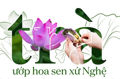 Trà ướp hoa sen xứ Nghệ: 'Báu vật' tinh túy từ thiên nhiên