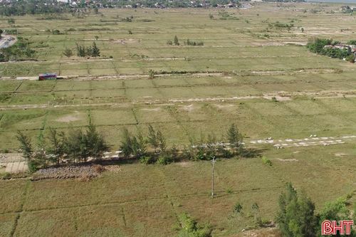 Đất muối bỏ hoang sinh lợi khi chuyển sang nuôi tôm công nghệ cao