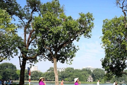 Phát huy vị thế 25 năm Hà Nội - 'Thành phố vì hòa bình' tại Liên hợp quốc